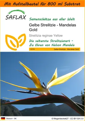 Produktbild von SAFLAX Garden in the bag - Gelbe Strelitzie - Mandelas Gold - Strelitzia reginae Yellow - 4 Samen - Mit Anzuchtsubstrat im praktischen, selbst aufstellenden Beutel