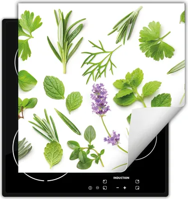 Image de DarHaus Plaque de recouvrement pour cuisinière 60x52 cm Tapis antidérapant Enroulable, vert - Herbes aromatiques