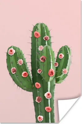 Produktbild von MuchoWow® Poster Kaktus - Stilleben - Blumen 20x30 cm - Papierdruck