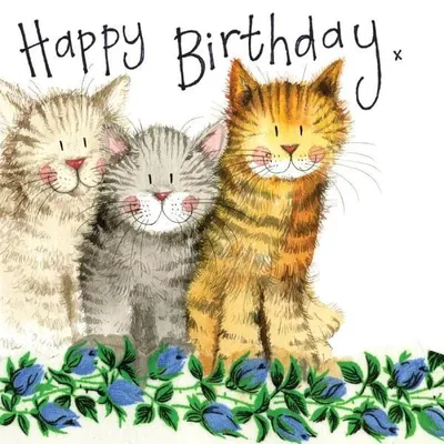 Image de Carte d'anniversaire S97 « 3 chats » - Alex Clark