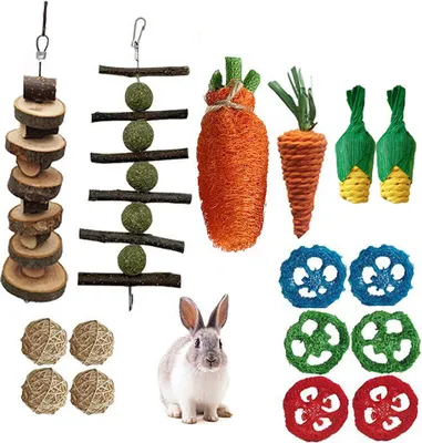 Obrázek produktu pro 20dílná sada žvýkacích hraček pro hlodavce, pamlsky pro králíky a míček Timothy Hay Stick Toys Pro dentální péči králíků, morčat a dalších zvířat
