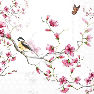Produktbild von Ambiente Servietten Bird & Blossom 25 cm