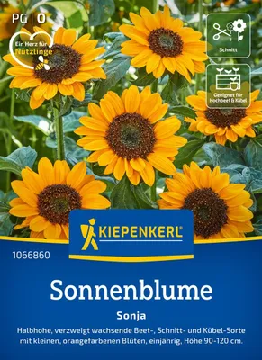 Produktbild von Kiepenkerl Sonnenblumensamen Sonja Helianthus annuus 25 Pflanzen
