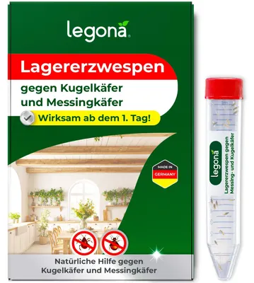 Produktbild von Legona Lagererzwespen gegen Kugelkäfer und Messingkäfer – 10 Röhrchen, 100 m²