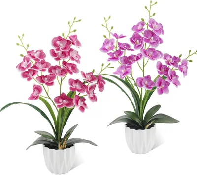 Image de Deux orchidées artificielles, roses et violettes, en pot, idéales pour la décoration intérieure et de bureau
