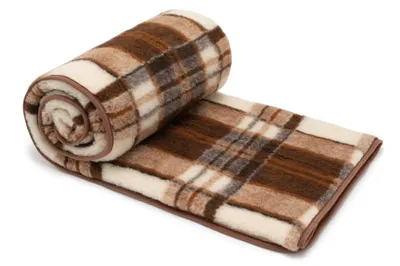 A rolled-up plaid blanket on a white background.
