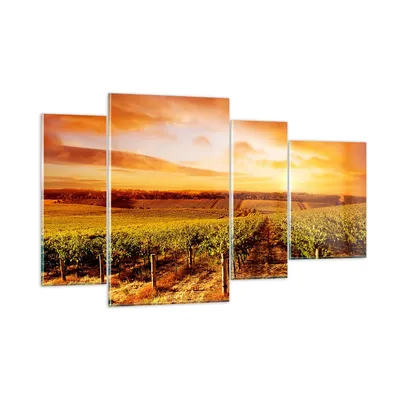 Produktbild von Bilder auf glas - Weinberg Aussicht Landschaft - 120x70cm - Glasbilder - Wandbilder - Kunstdruck - zum Aufhängen bereit - Wanddekoration aus Glas - Glas Bilder - Wandbild auf Glas - GDL120x70-0170