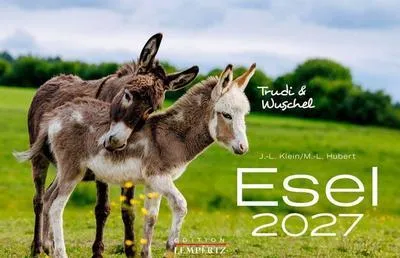 Obrázek produktu pro Kalendář Osla 2027