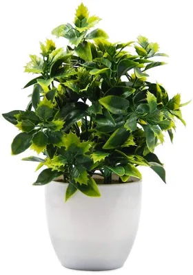 Image de Plantes artificielles en plastique dans des pots en plastique ; plantes d'eucalyptus pour la décoration d'intérieur