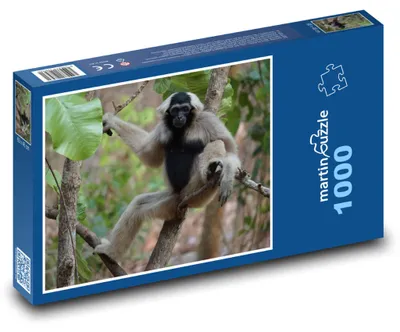 Obrázek produktu pro Puzzle 1000 Opice v džungli - martinpuzzle