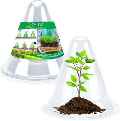 Produktbild von Schutzkappe für Pflanzen, transparent, groß, 25 Stück