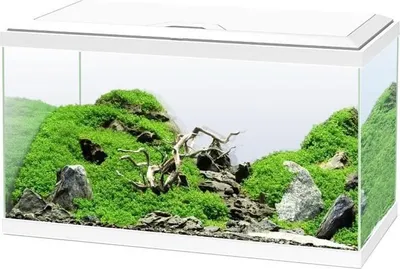 Produktbild von Aquarium 60 - CIANO - 58 L + Filter + LED + Heizung + Verbrauchsmaterial - Weiß