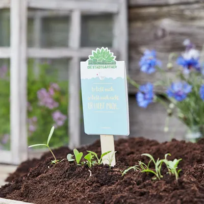 Produktbild von Saatgruß Er liebt mich Gänseblümchen-Saatgut im Geschenktütchen Romantische