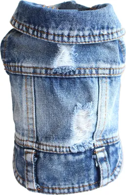 Image de Veste en jean pour chien, t-shirt bleu en denim pour chiot, vêtements pour chien lavables en machine, vêtements confortables et tendance, XXL