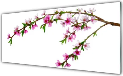 Immagine prodotto di Immagine su vetro 125x50, decorazione da parete, stampa su vetro, ramo di fiori, natura