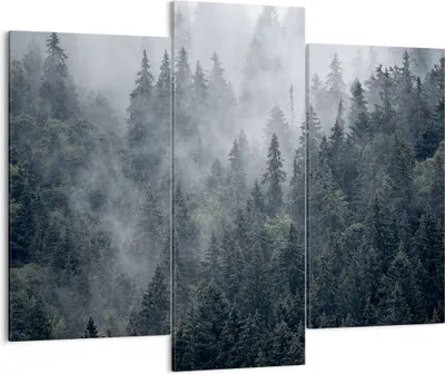 Produktbild von Bild auf Leinwand - Leinwandbild - Wald Baum Natur - 130x100cm - Wand Bild - Wanddeko - Wandbilder - Leinwanddruck - Bilder - Kunstdruck - Wanddekoration - Leinwand bilder - Wandkunst - CB130x100-4074