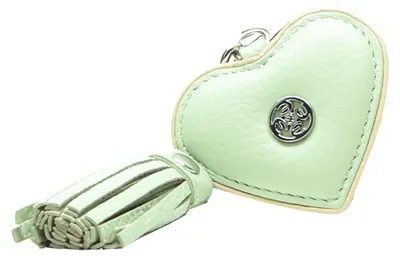 Produktbild von Esquire Schlüsselanhänger Virginia Key Ring Mint