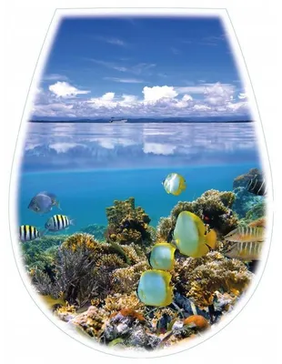 Produktbild von Bisk Lilia Toaletten-Sitz Foto Ocean (04154)