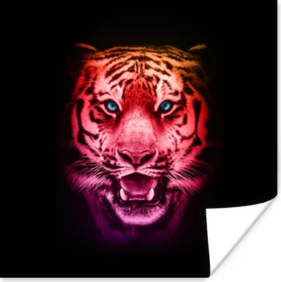 Produktbild von MuchoWow® Poster Tiger - Farben - Tiere 30x30 cm - Wandposter - Printing