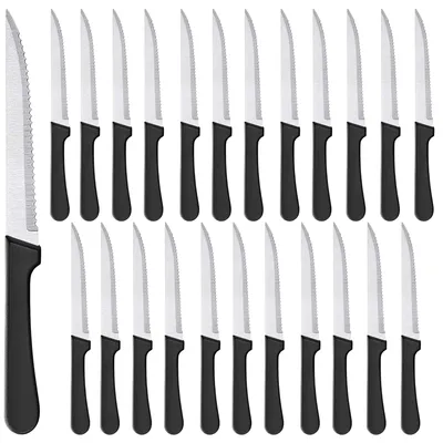 Immagine prodotto di Solidchoice - Set di 24 coltelli da carne e da tavola in acciaio inossidabile, con lama da 22 cm