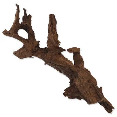 Image de DriftWood Root Bulk XL 1 pc