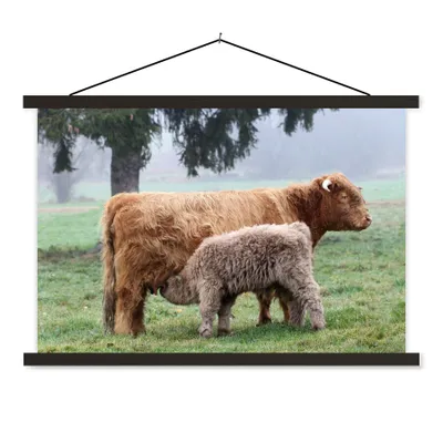 Produktbild von MuchoWow® Textilposter Schottischer Highlander - Kalb - Kuh 60x40 cm mit schwarzem Rahmen - Hölzernes