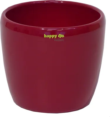 Produktbild von Keramik Hydro Blumentopf Venus 13/12 weinrot Ø 16,0 cm H 14,0 cm
