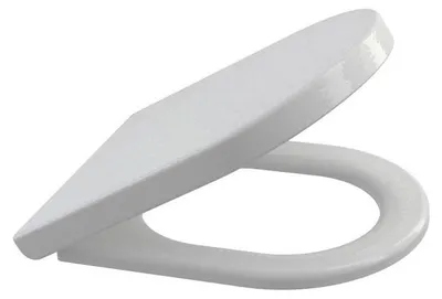 Obrázek produktu pro Záchodové prkénko Alcadrain A 67 Softclose Duroplast