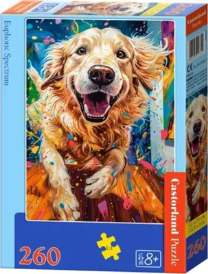 Zdjęcie produktu dla Puzzle 260 Euphoric Spectrum B-27644-1