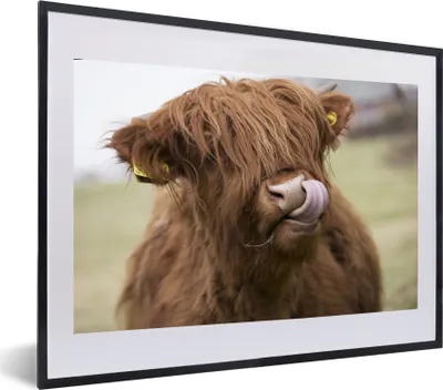 Produktbild von MuchoWow® MuchoWow® Gerahmtes Poster Schottisches Hochlandrind - Braun - Kuh 60x40 cm - Poster mit zchwarzem Bilderrahmen - Schlafzimmer - Plakat in Rahmen - Drucken