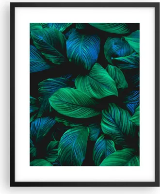 Produktbild von Gerahmtes Poster - Schwarzer Rahmen - Blätter Pflanzen Exotik - 40x50 cm - Wand Bild - Wanddeko - Wandbilder - Kunstposter - Wandposter - Bilderrahmen - Bilder - Kunstdruck - P2BPA40x50-5066
