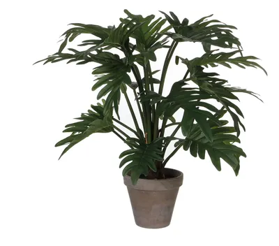 Produktbild von Mica decorations Philodendron Selloum Kunstpflanze im Blumentopf - H50 x Ø40 cm