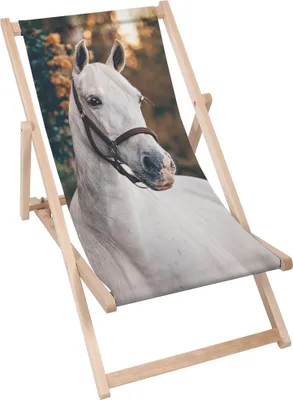 Immagine prodotto di Lettino Dreamroots pieghevole in legno, legno di faggio fino a 130 kg, lettino pieghevole con regolazione dell'inclinazione dello schienale in 3 fasi, White Horse
