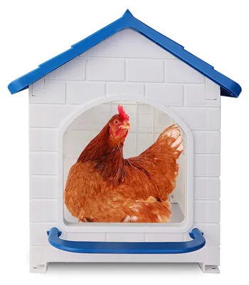 Imagen del producto de Nido para gallinas, lavable, 1 unidad, para el gallinero