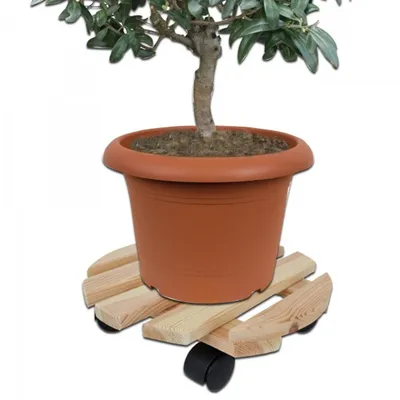 Produktbild von Rollenuntersetzer aus Holz Pflanzenroller Untersetzer m. 4 Lenkrollen Holzroller