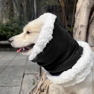 Produktbild von INF Winter Warme Hunde Ohrenschützer Doppellagig für Frostschutz Mehrere Größen Schwarz L