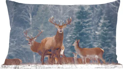 Produktbild von MuchoWow® Zierkissen Sofakissen Wohnzimmer Dekokissen 50x30 cm Hirsche - Tiere - Natur - Wohnzimmerdekoration - Polster mit Photo