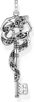 Produktbild von Thomas Sabo Rebel Snake PE983-691-11 Anhänger