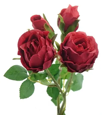 Produktbild von GASPER Blütenstiel Polyantha-Rose Rot 2 Blüten & 2 Knospen 39 cm - Kunstblumen