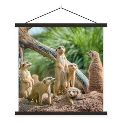 Produktbild von MuchoWow® Textilposter Familie - Tiere - Erdmännchen 90x90 cm mit schwarzem Rahmen - Magnetisches