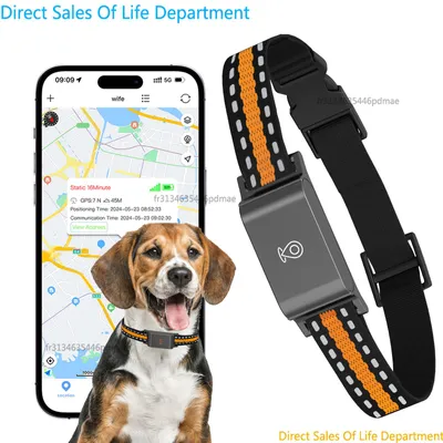 Produktbild von GPS-Tracker, wasserdichtes Design, Echtzeit-Tracking, pflaume