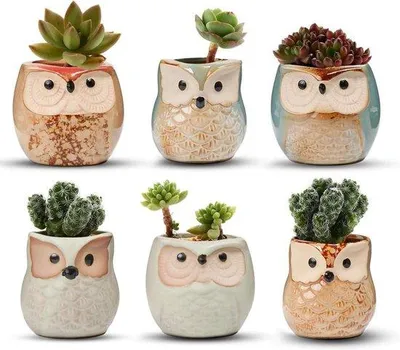 Produktbild von Famanu Keramische Töpfe Set von 6 für Kakteen und Blumen - Dekorative Blumentöpfe für Mini-Gärten und Terrarien
