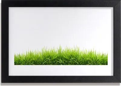 Produktbild von Bild 30x20 MDF-Rahmen Wandkunst Gras Natur Pflanze
