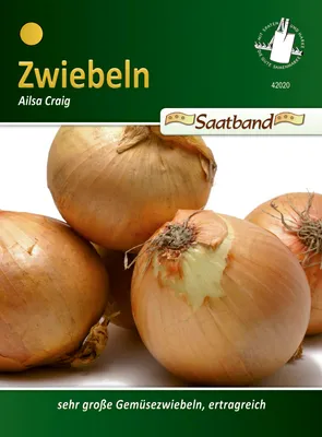 Produktbild von Zwiebel Ailsa Craig (Saatband) | Zwiebelsamen von N.L. Chrestensen