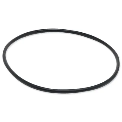 Immagine prodotto di Anello di tenuta Hagen Fluval 104/204