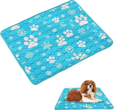 Produktbild von Koelmat für Hunde und Katzen, Eisschicht, waschbar, Sommer, Betten, Autositze, 50 x 40 cm, blau