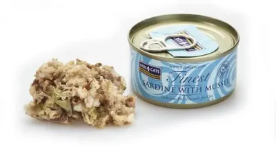 Produktbild von Fish4Cats - Sardine mit Grünlippen-Omelett - 70g Katzennassfutter