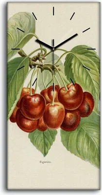 Produktbild von Leinwand Uhr Küche Wohnzimmer Bild 30x60 Gemälde Obst Kirschen Zweig Blätter - schwarze Hände