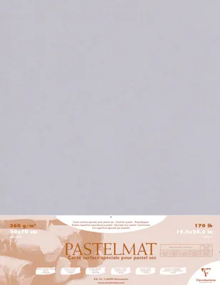 Produktbild von Clairefontaine Papier für Pastellmalerei, 5 Bogen 50x70cm, Dunkelgrau 96019C