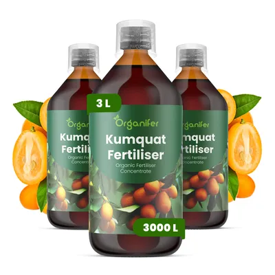Produktbild von Kumquat Flüssigdünger 3x1L – 2-1-8 NPK – Flüssig-Pflanzendünger für aromatische, süße Früchte & gesunde Laubentwicklung – Organifer